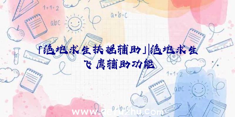 「绝地求生扶摇辅助」|绝地求生飞鹰辅助功能